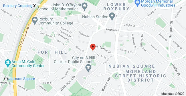 21 Alpine St, Roxbury