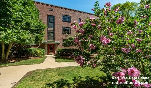 50 Alton Pl, Coolidge Corner