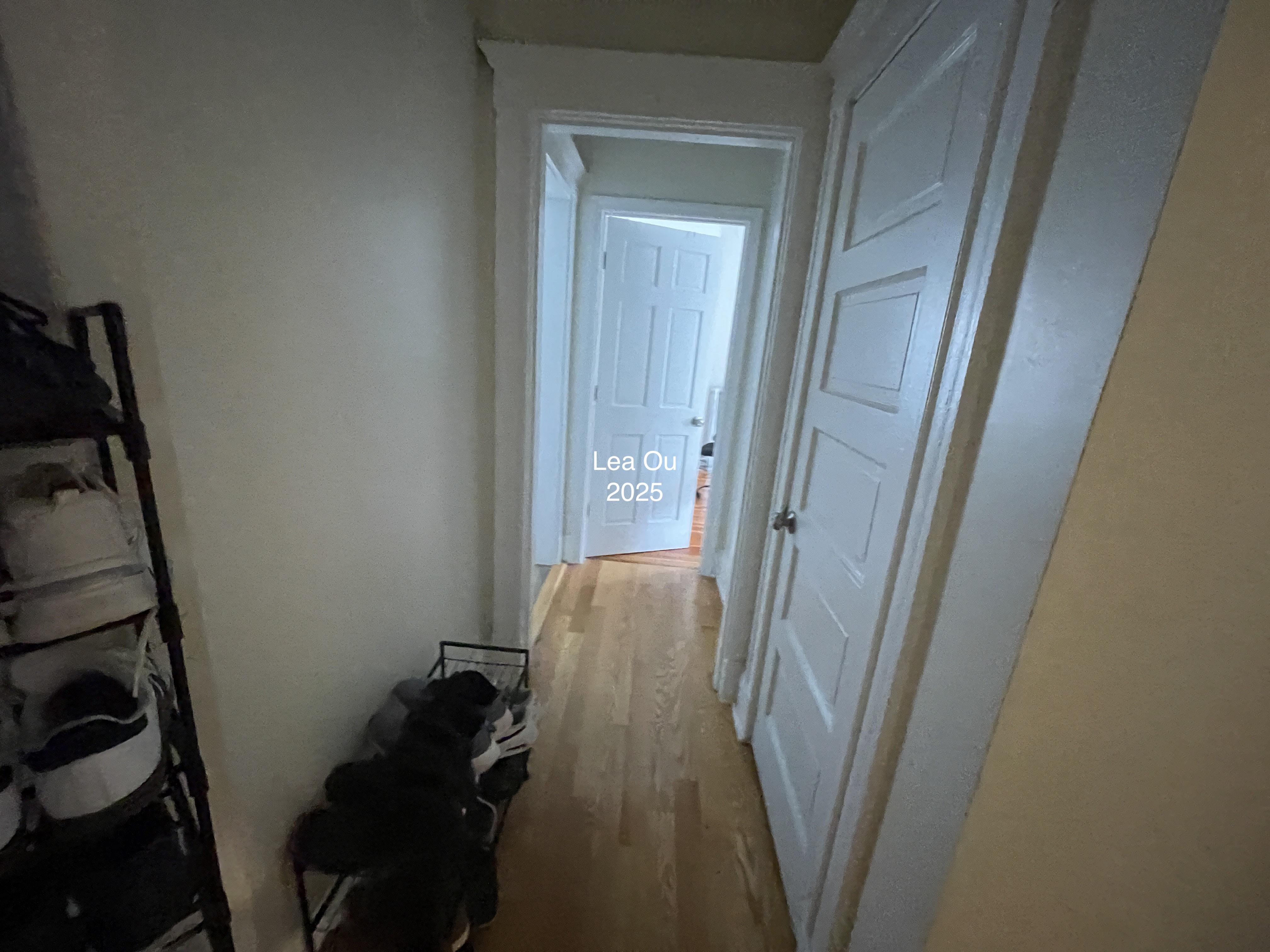 7 Mount Hood Rd, Brighton