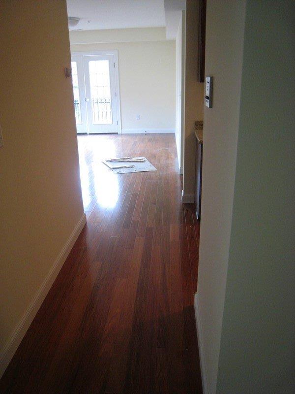 43 Pitman St, Spring Hill