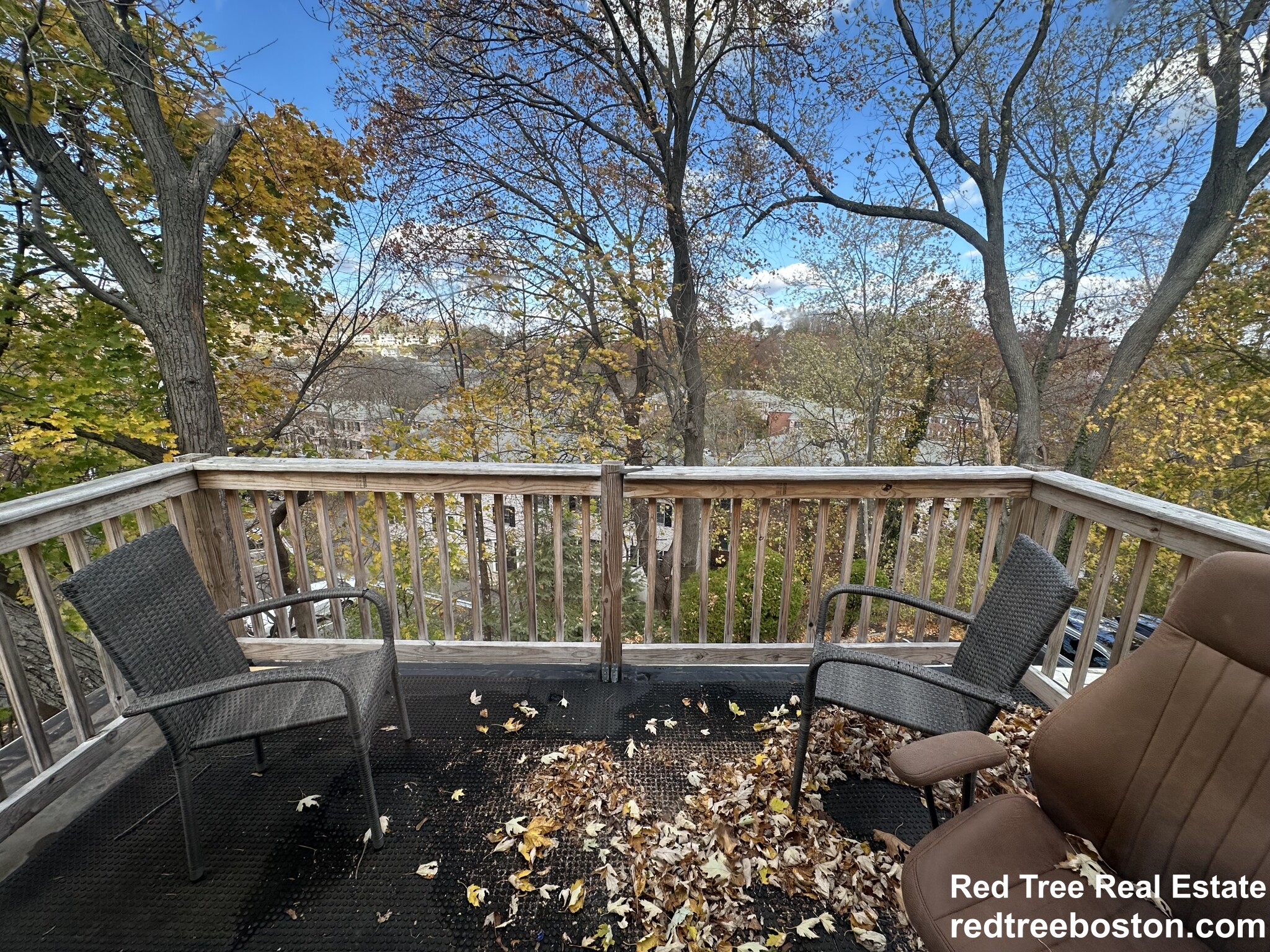 64 Undine Rd, Brighton