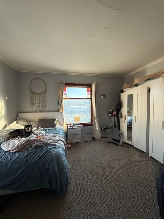 15 Millbrook St, Worcester