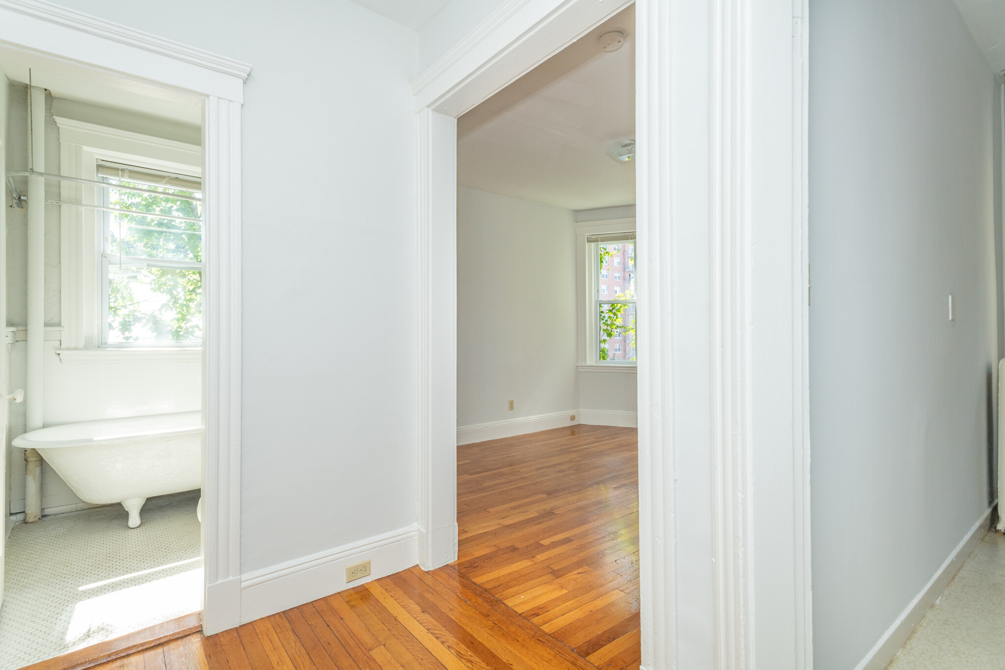 49 Worthington St, Mission Hill