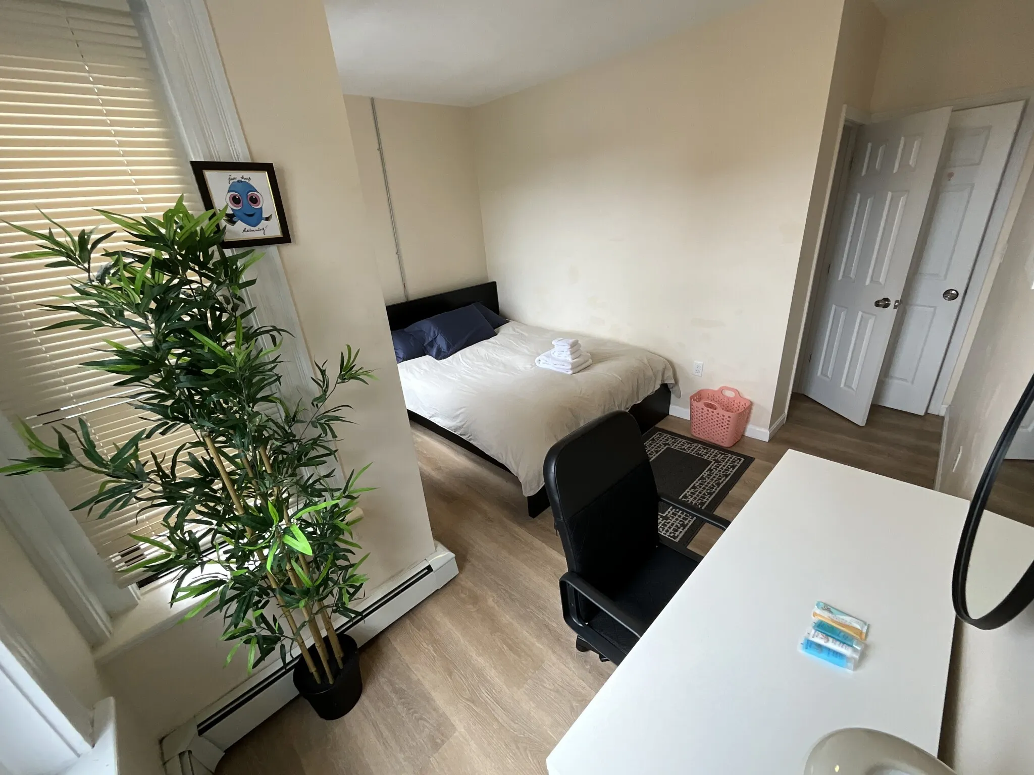 871 Harrison Ave, Roxbury