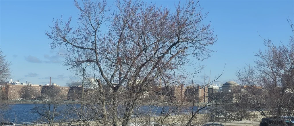 25 Bay State Rd, Back Bay