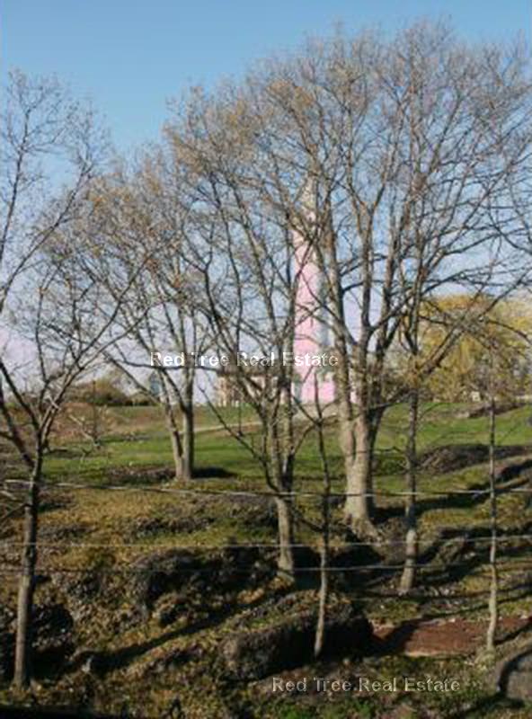 49 Beech Glen St, Roxbury