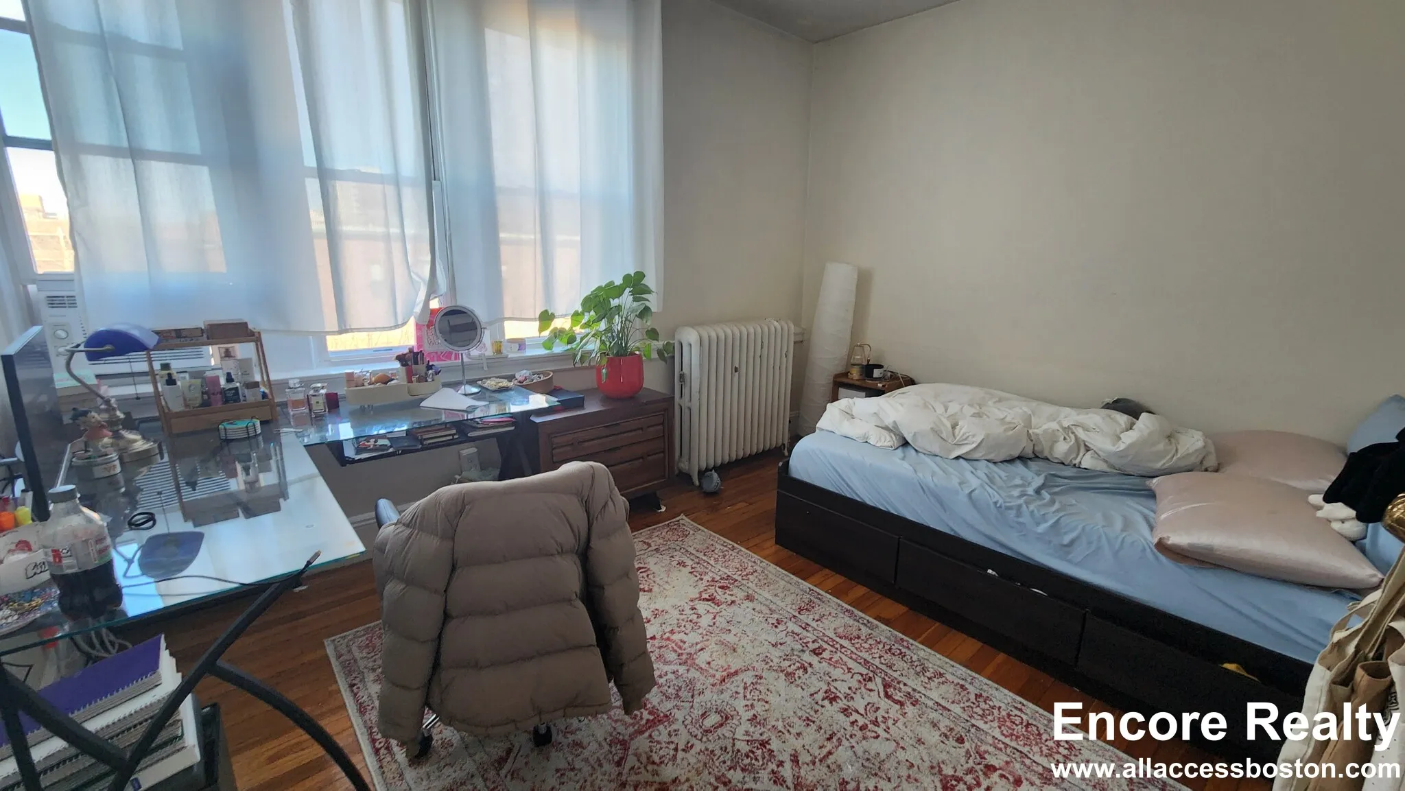 66 Egmont St, North Brookline