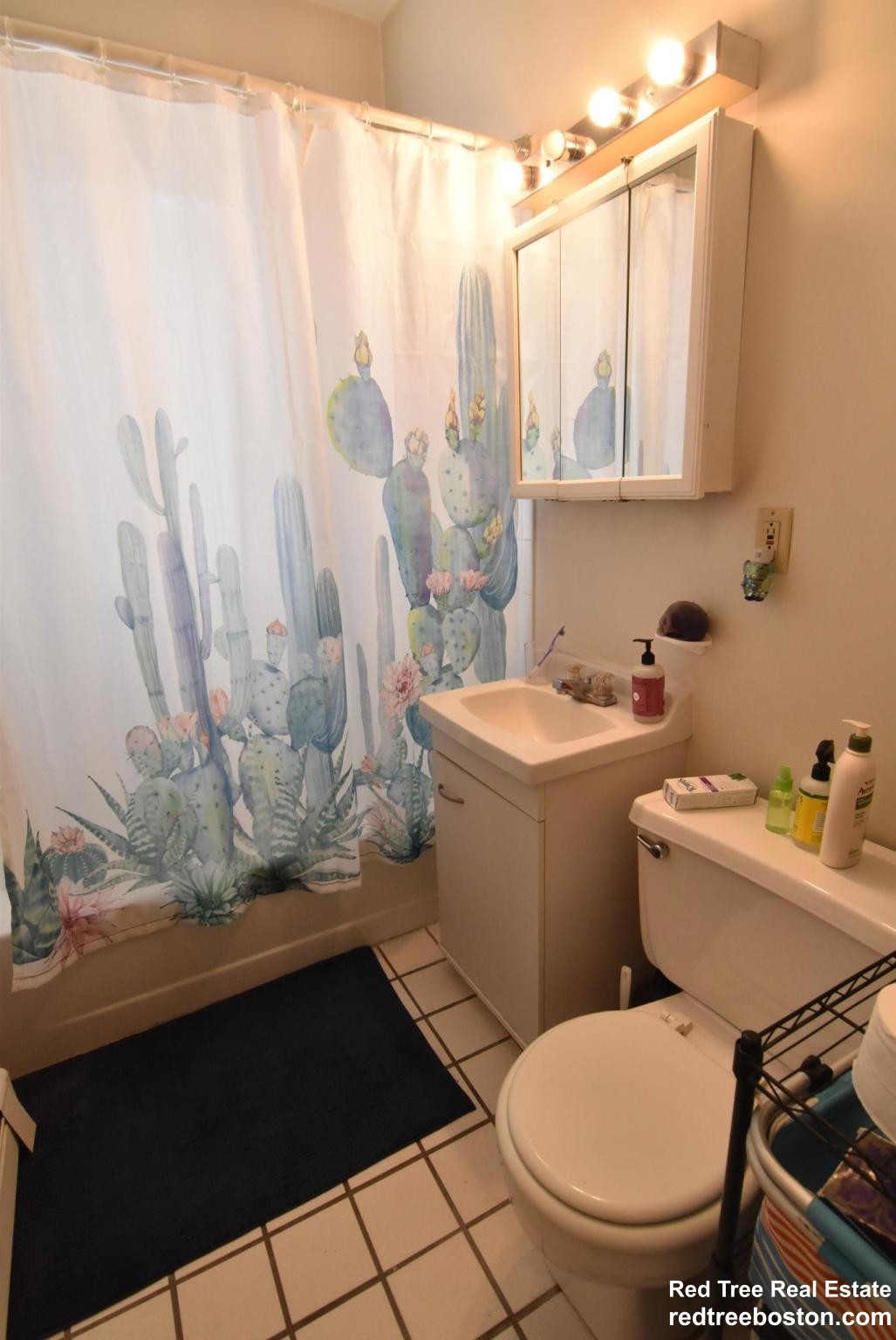 15 Colborne Rd, Brighton