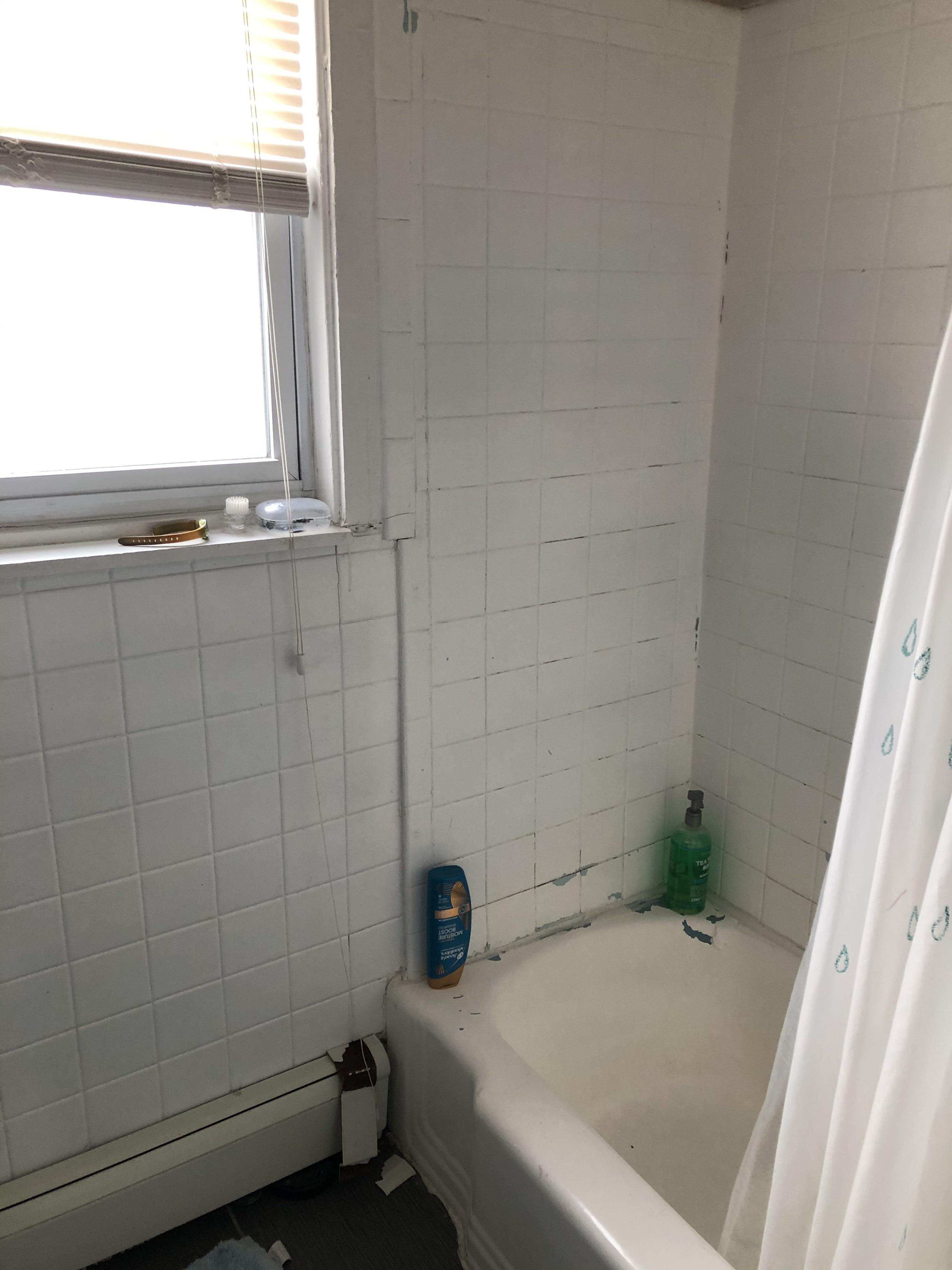 4 bed, 2 bath apartment for rent at 71 Chestnut Hill Ave Unit 71, Brighton — photo 42 of 58