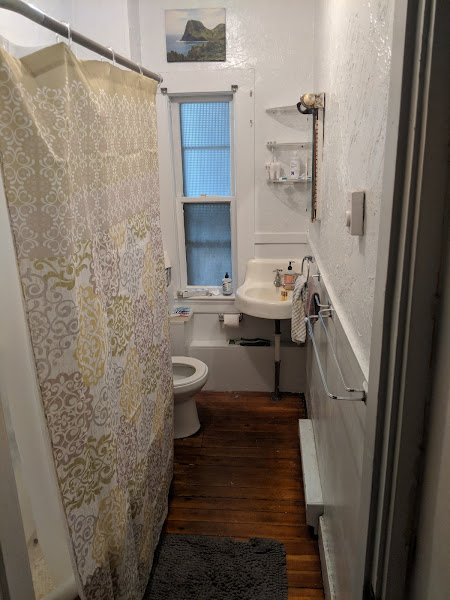 2 split bed, 1 bath apartment for rent at 195 Mount Auburn St Unit 2, West Cambridge — photo 3 of 15