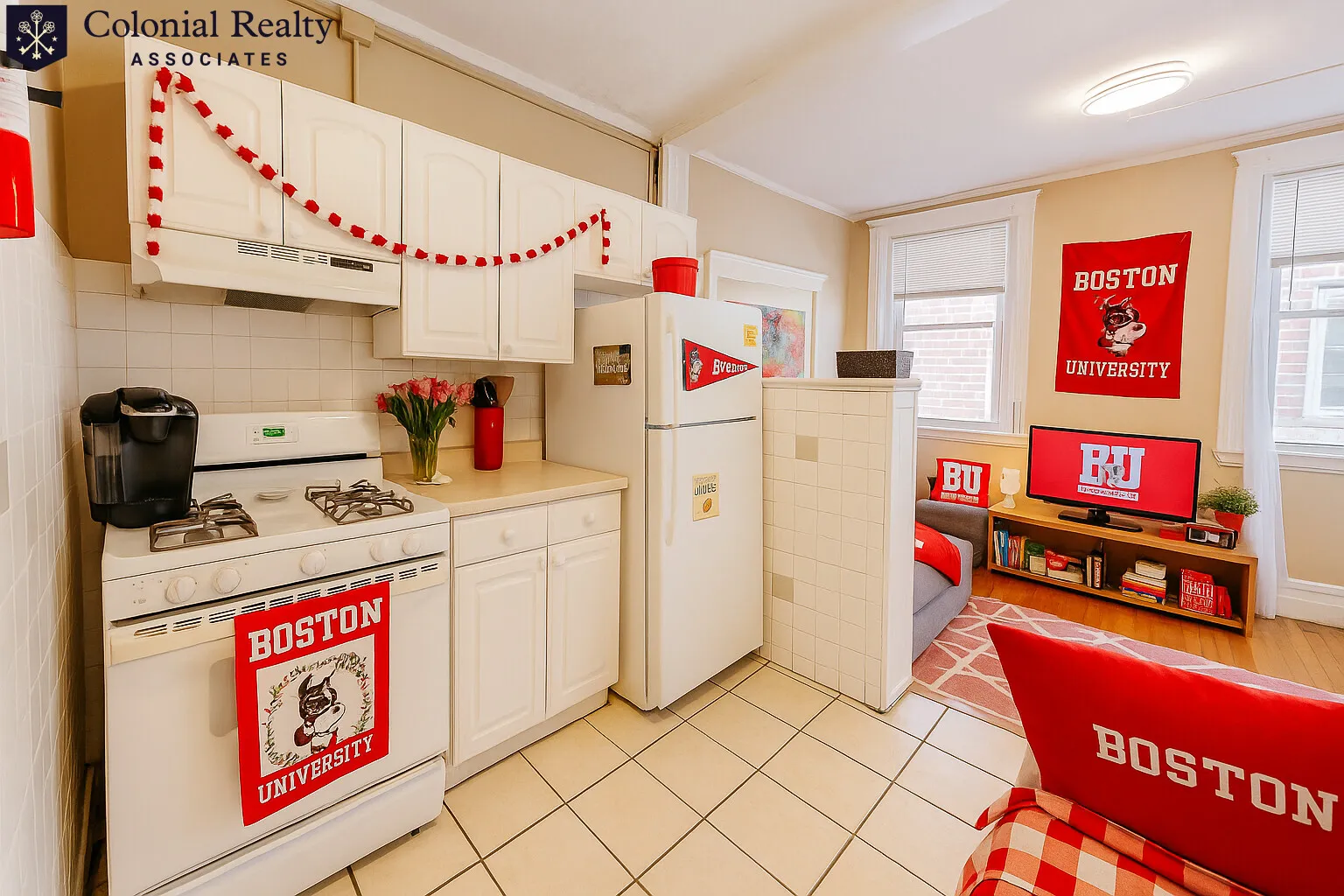 68 Egmont St, North Brookline