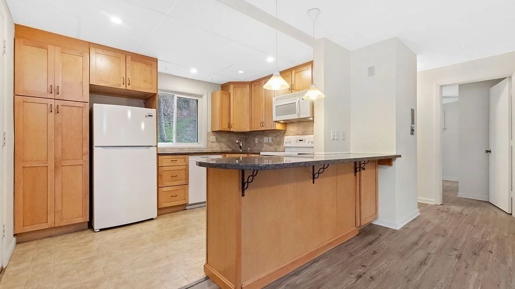 60 Lionel Ave, Waltham