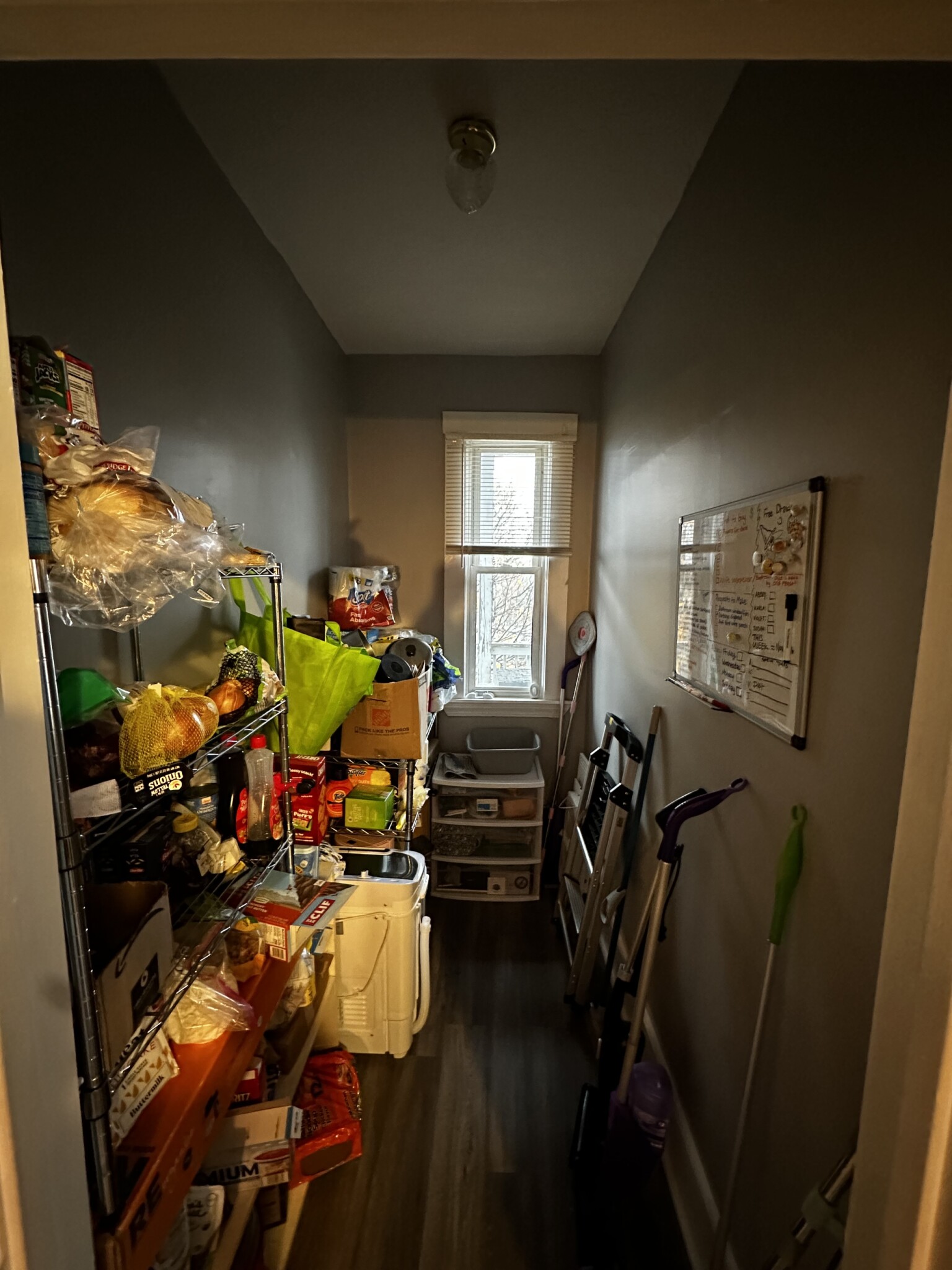 20 Lawn St, Mission Hill