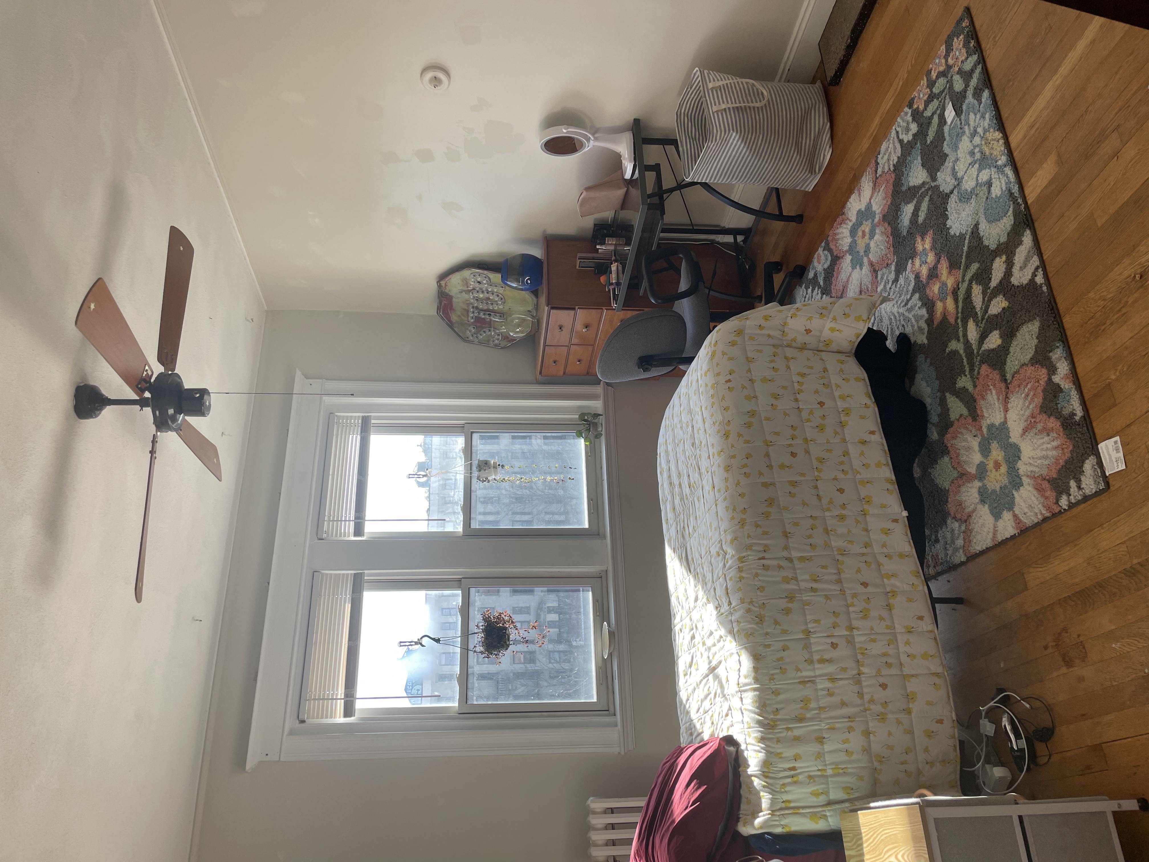2 bed, 1 bath apartment for rent at 1255 Commonwealth Ave Unit 8, Brighton — photo 8 of 8