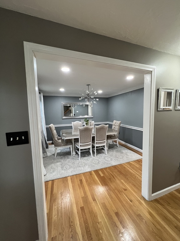 51 Ireta Rd, Shrewsbury