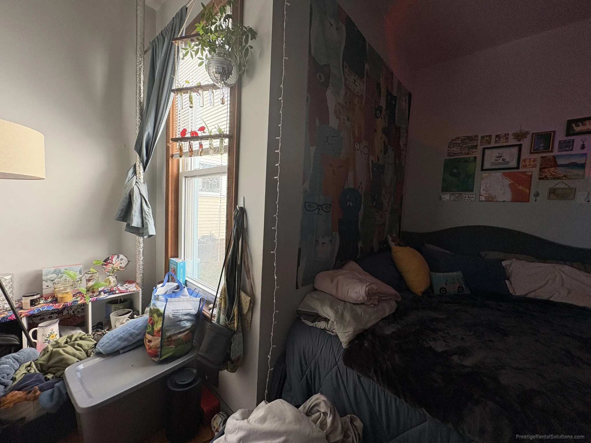 19 Ashford St, Allston
