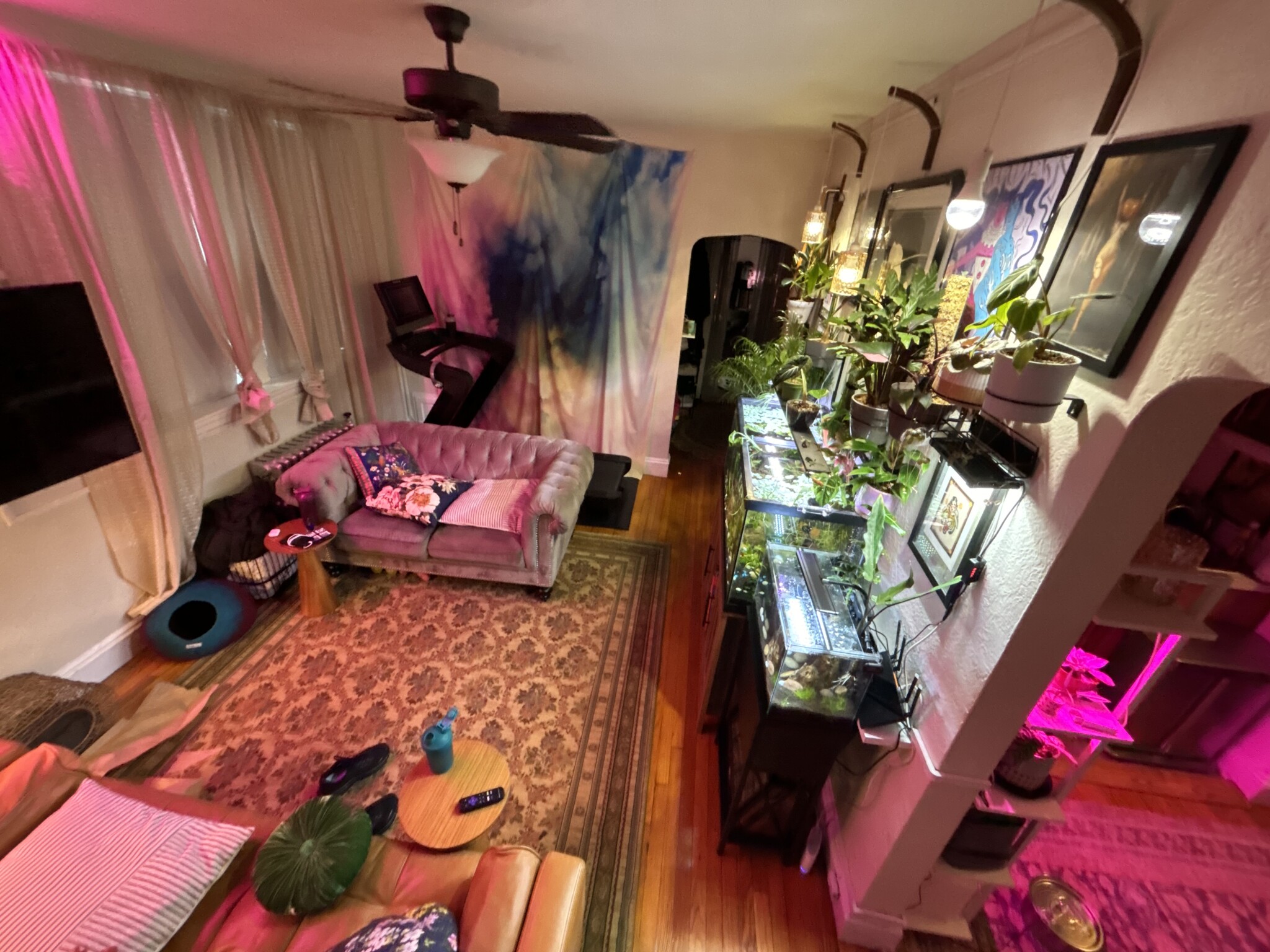 89 Strathmore Rd, Brighton