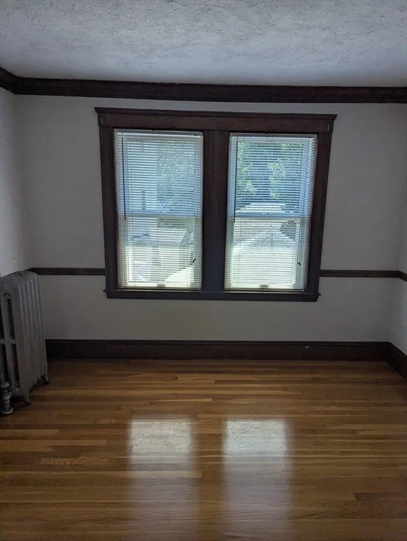 6 Violante St, Mattapan