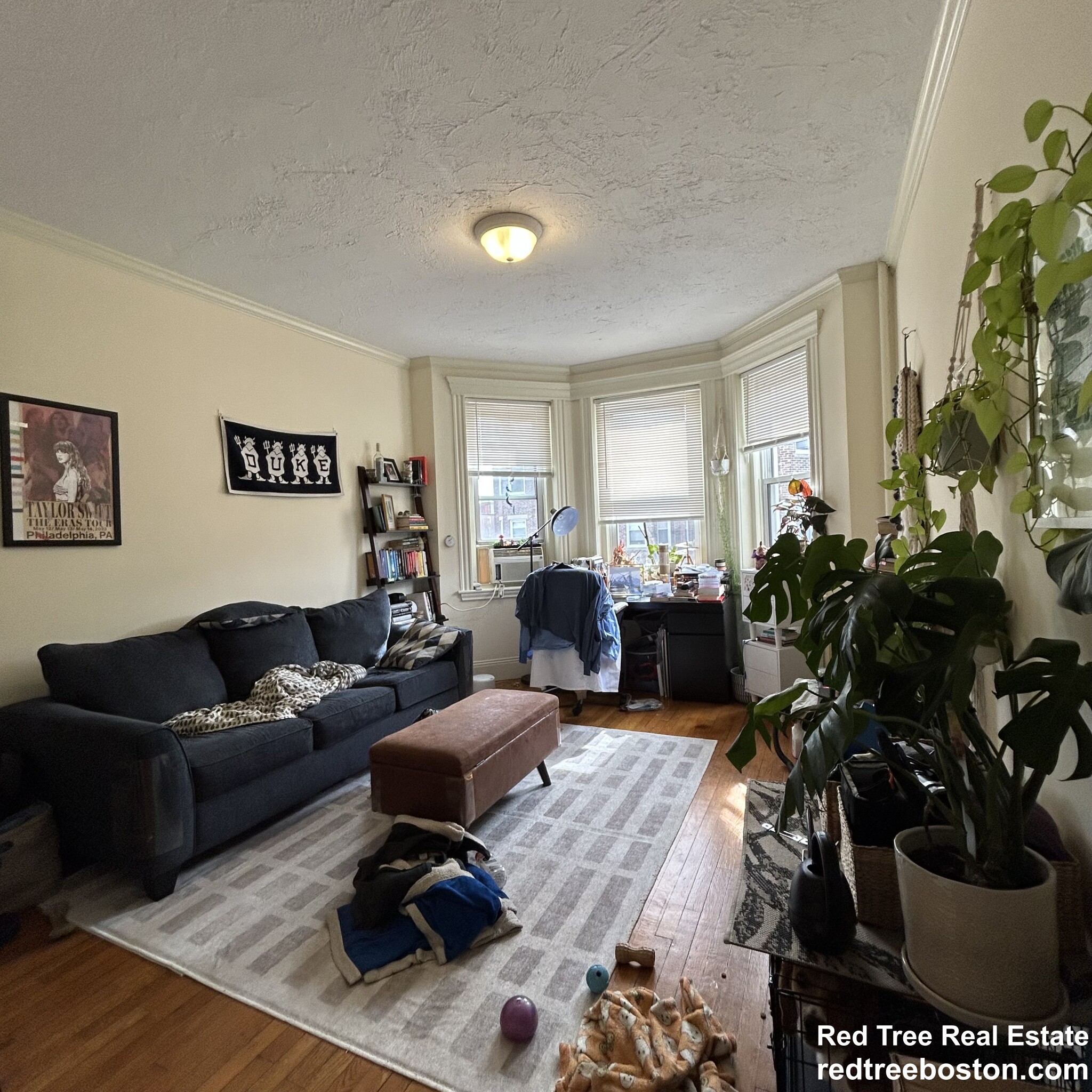 124 Peterborough St, Fenway