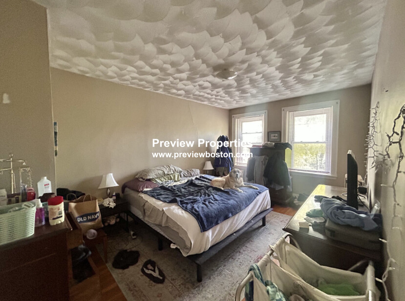 249 Chestnut Hill Ave, Brighton
