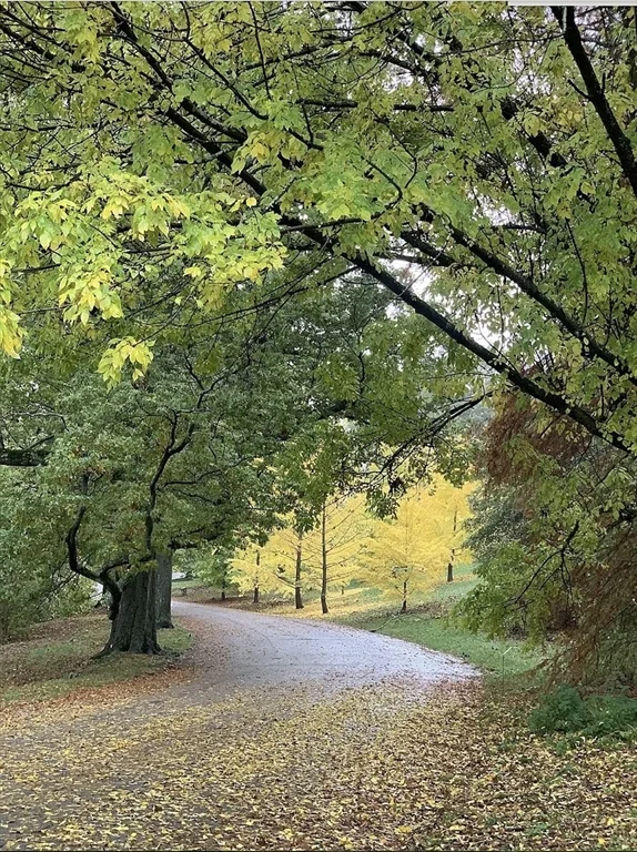 34 Colgate Rd, Roslindale