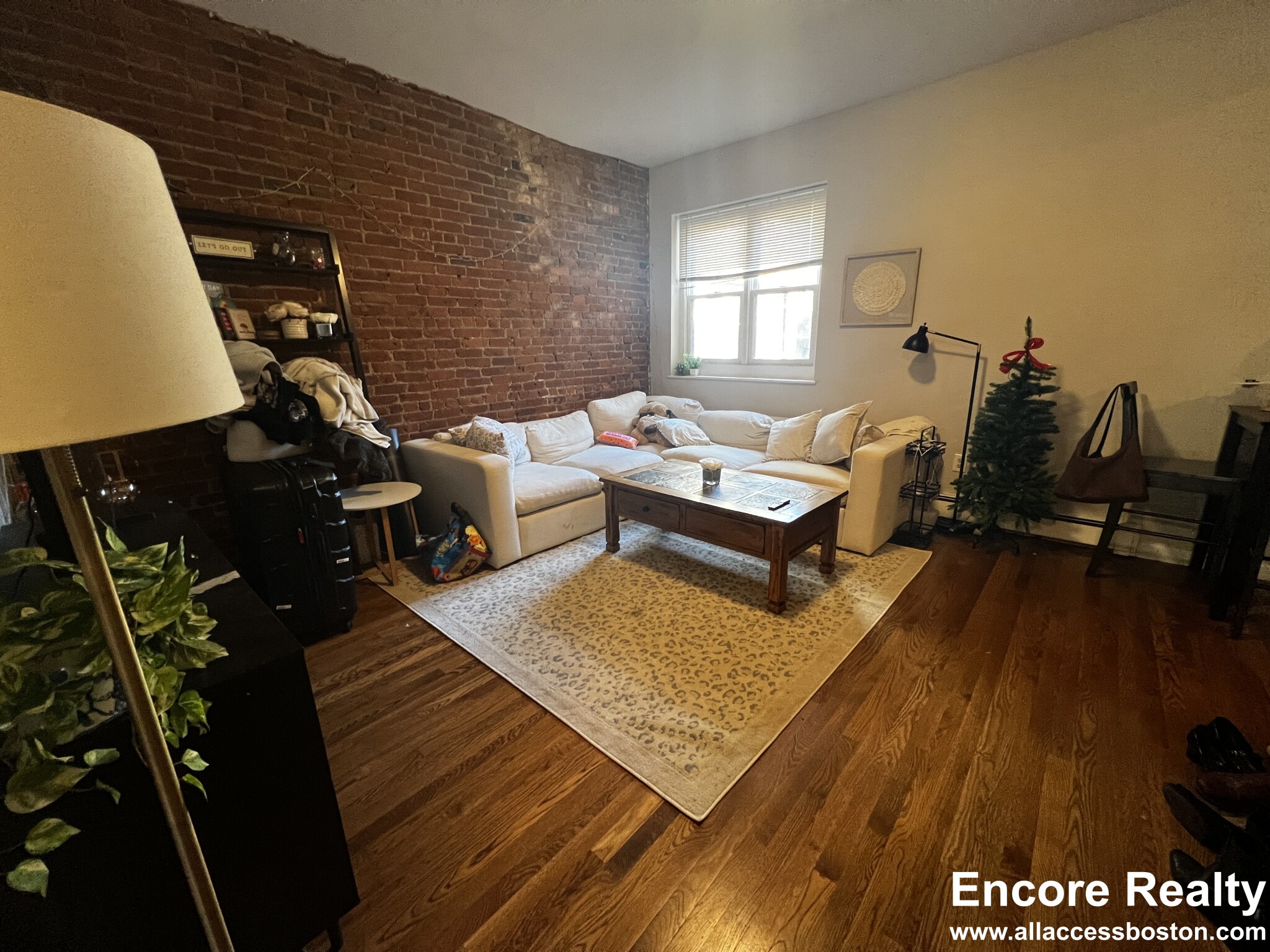 15 Stearns Rd, Coolidge Corner