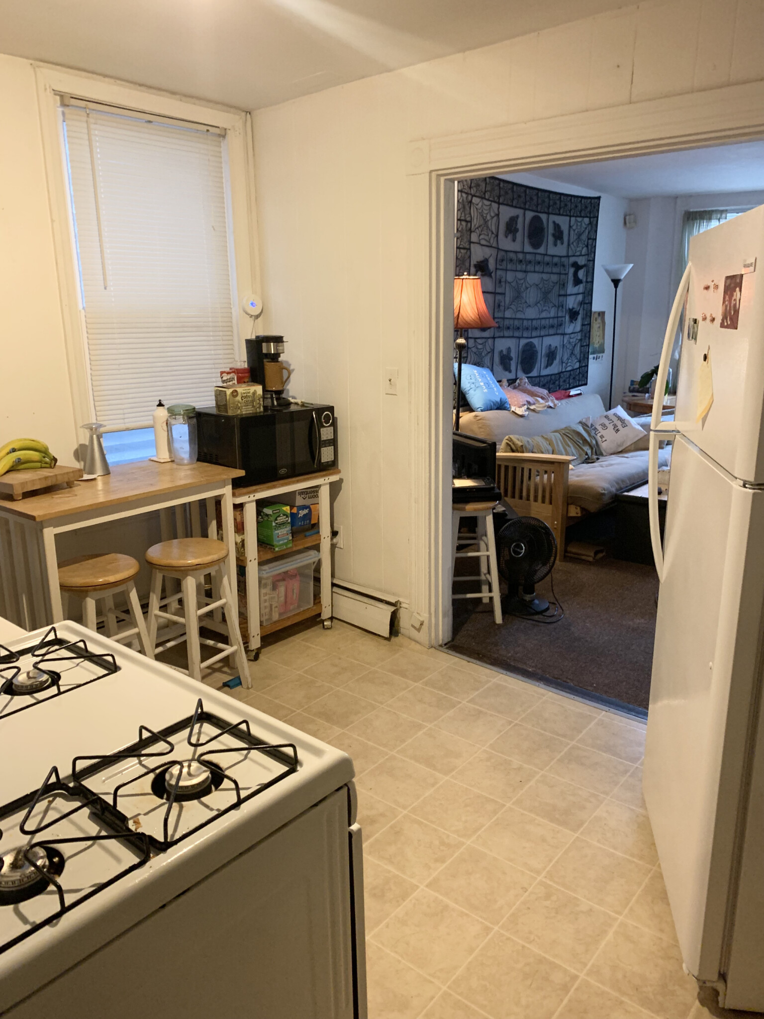 8 Parker Hill Ave, Mission Hill