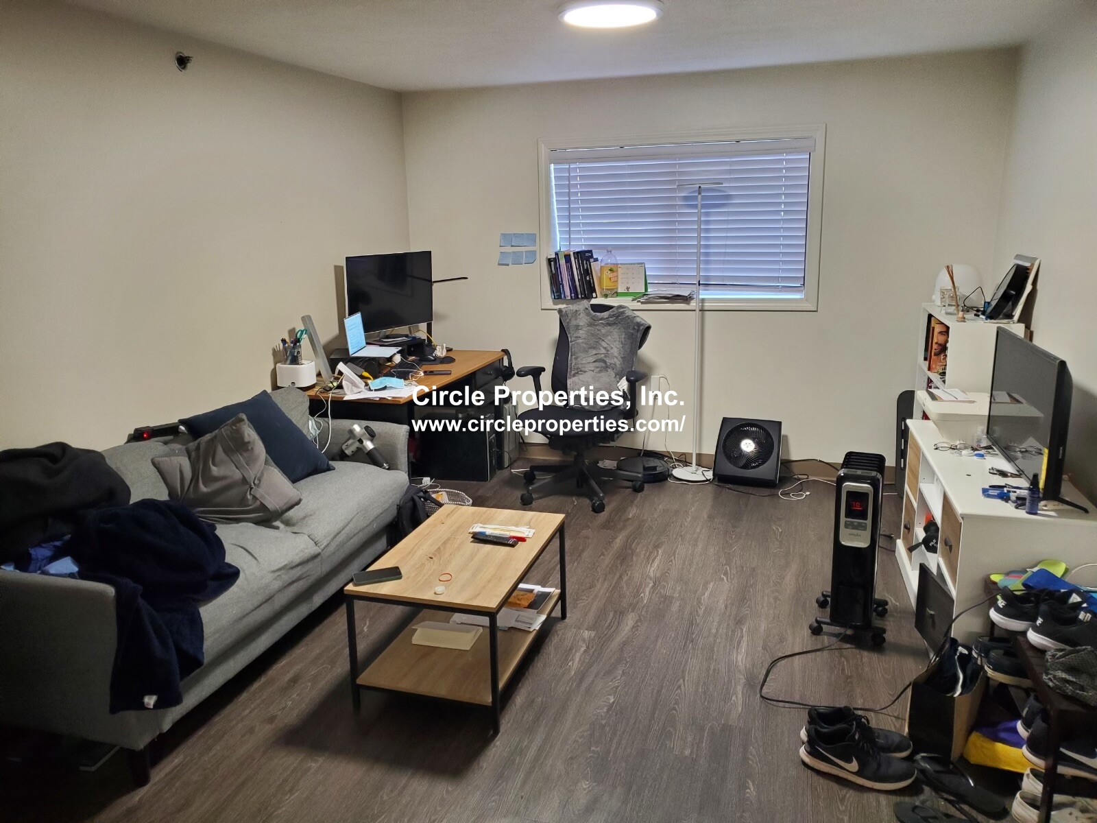 11 Darling St, Mission Hill