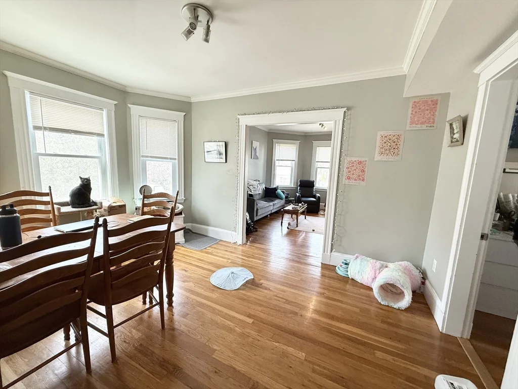 81 Florence, Roslindale