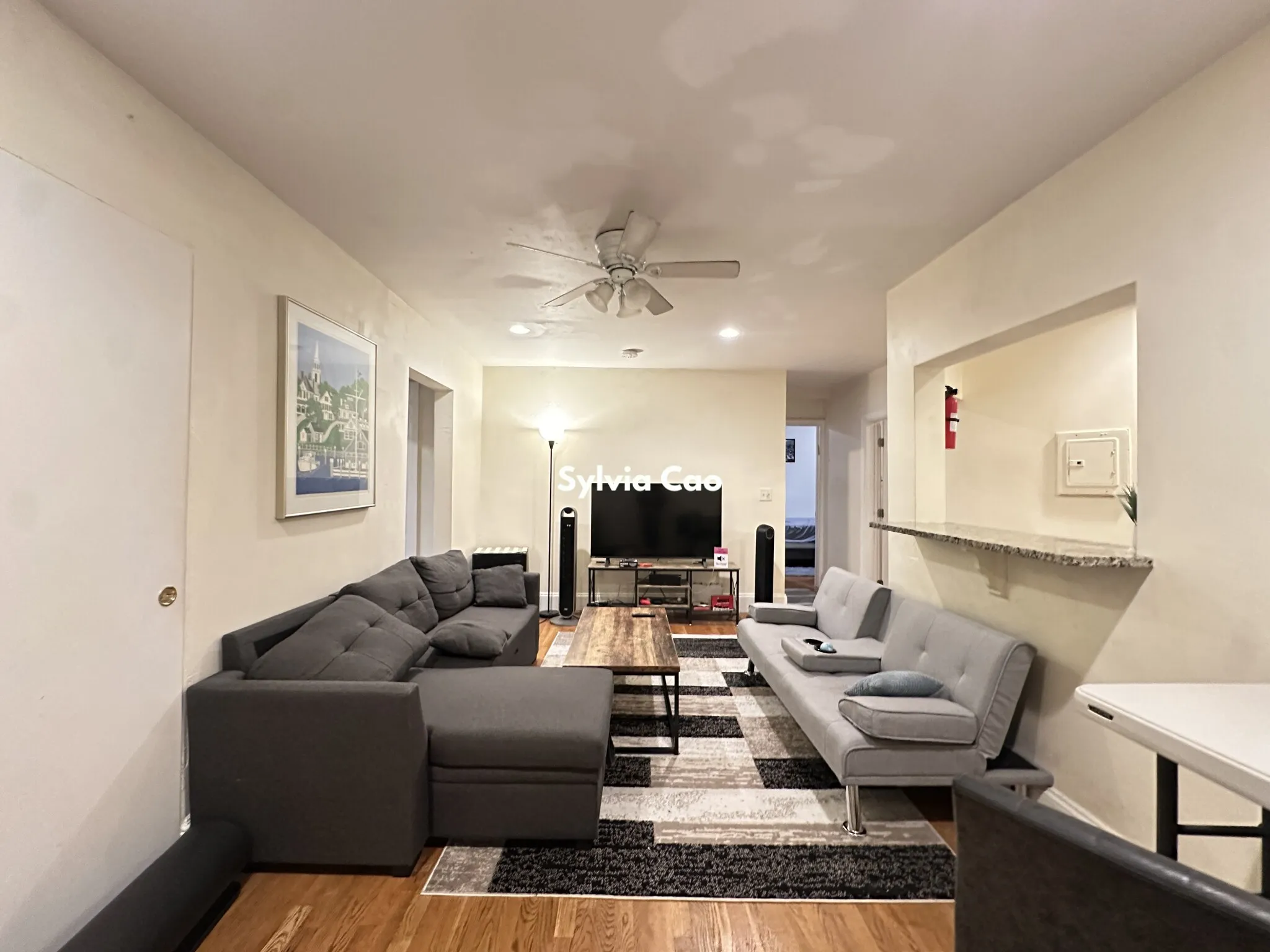 56 Egmont St, North Brookline