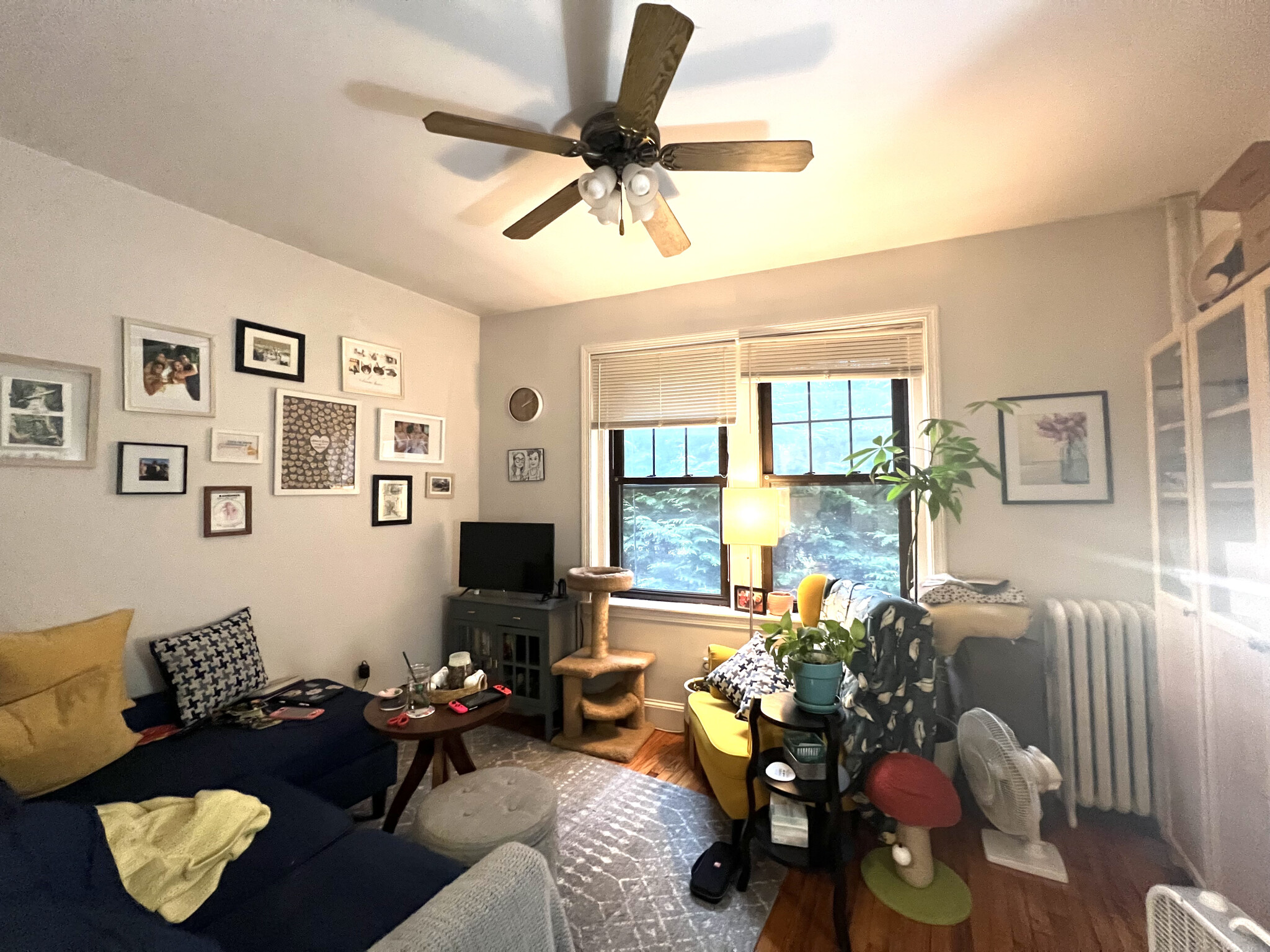 55 Lanark Rd, Brighton