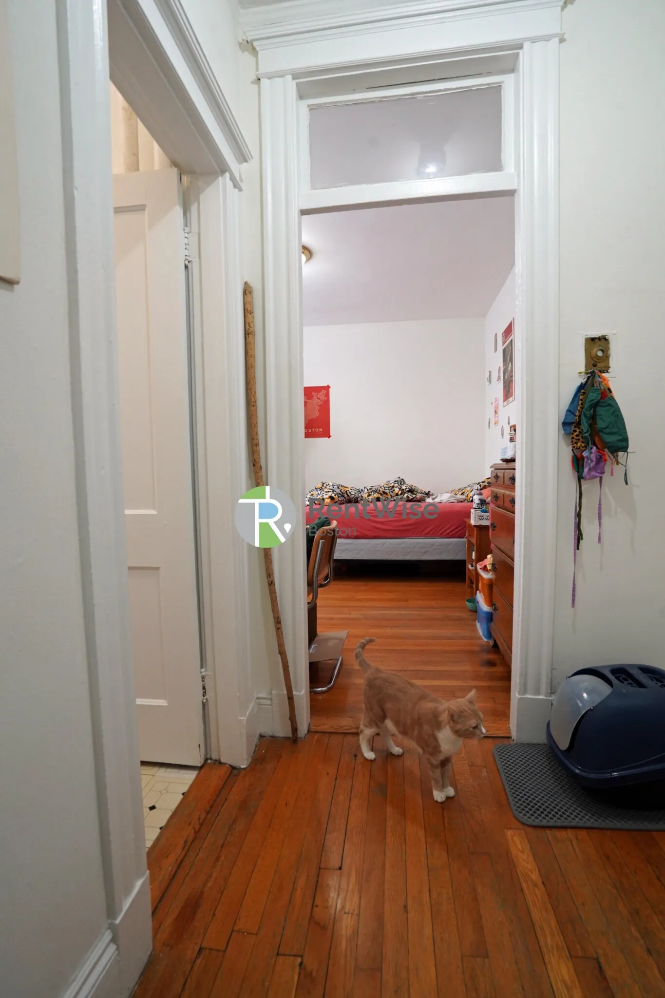 14 Orkney Rd, Brighton