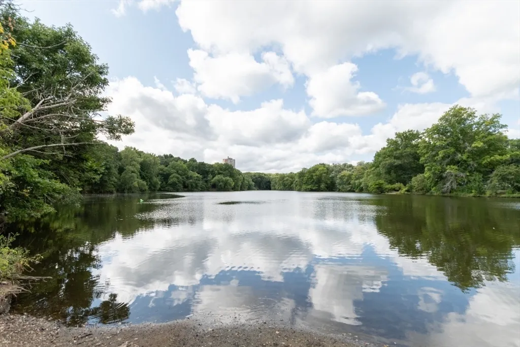 33 Pond Ave, Brookline Village