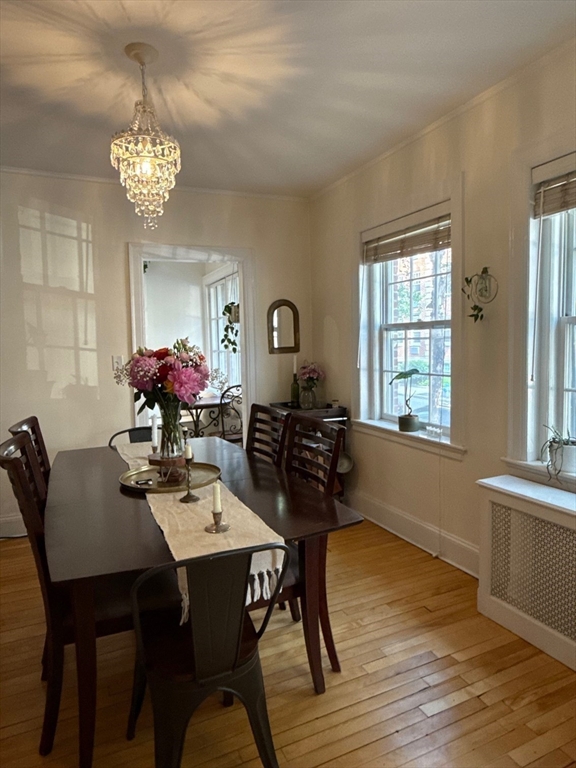 21 Chauncy St, Harvard Square