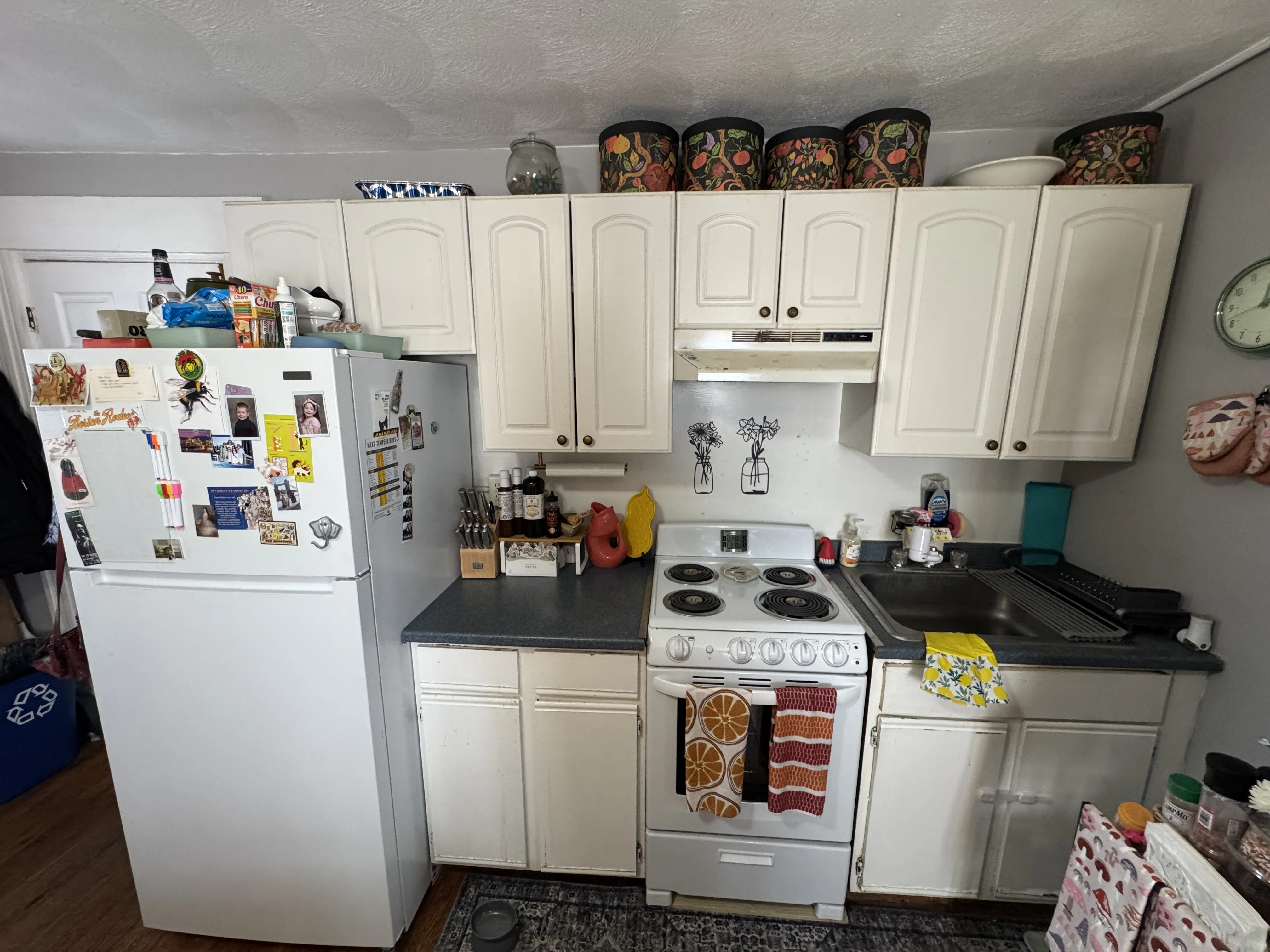 639 Somerville Ave, Spring Hill