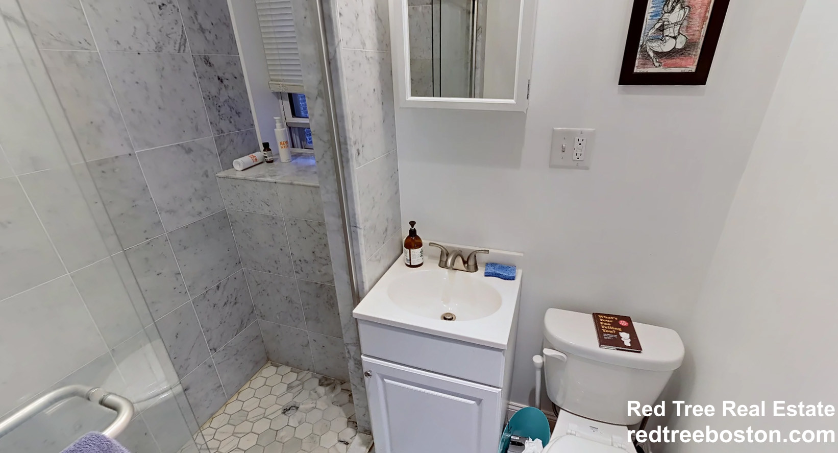 109 Queensberry St, Fenway