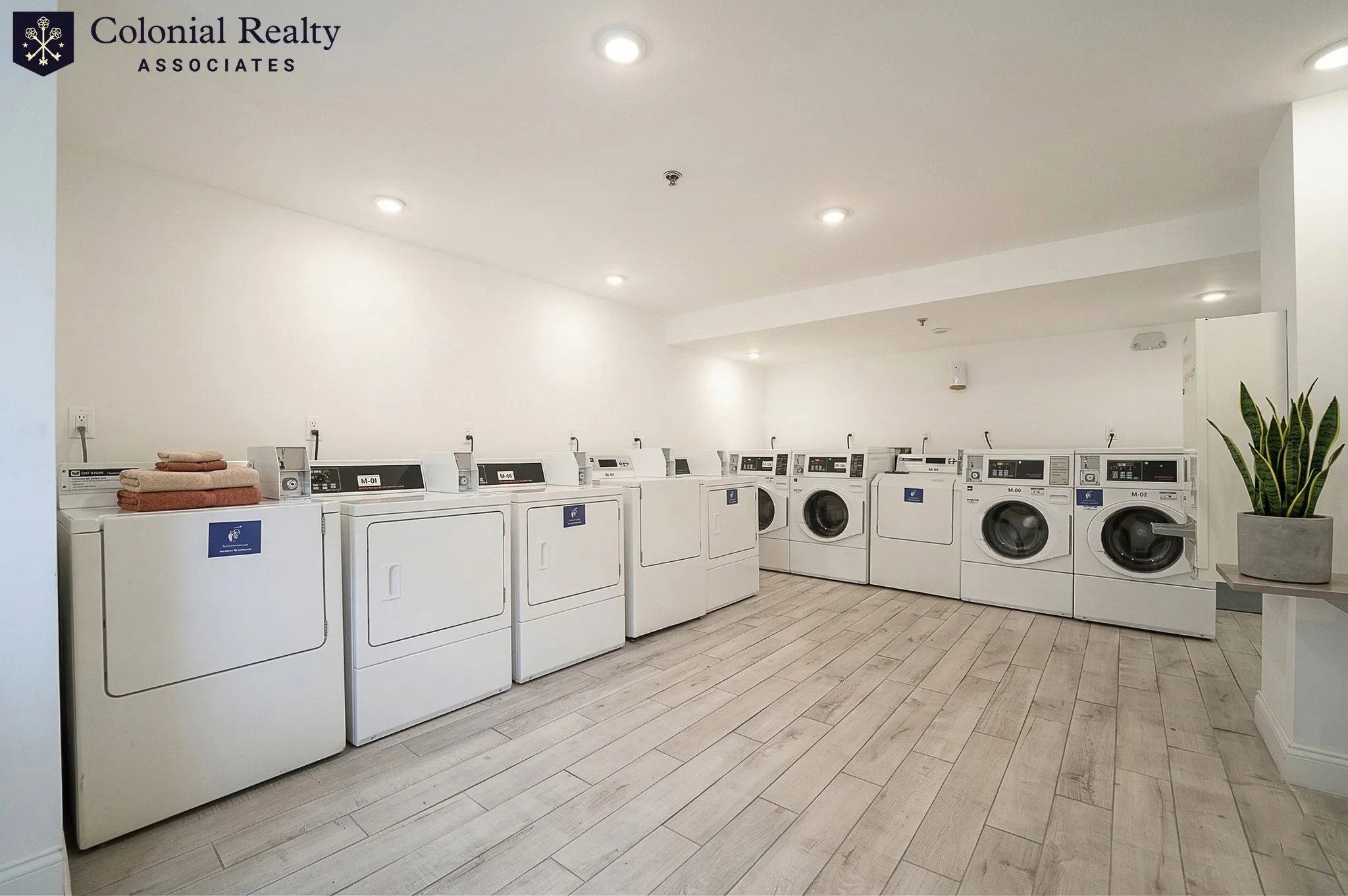 15 Orkney Rd, Brighton