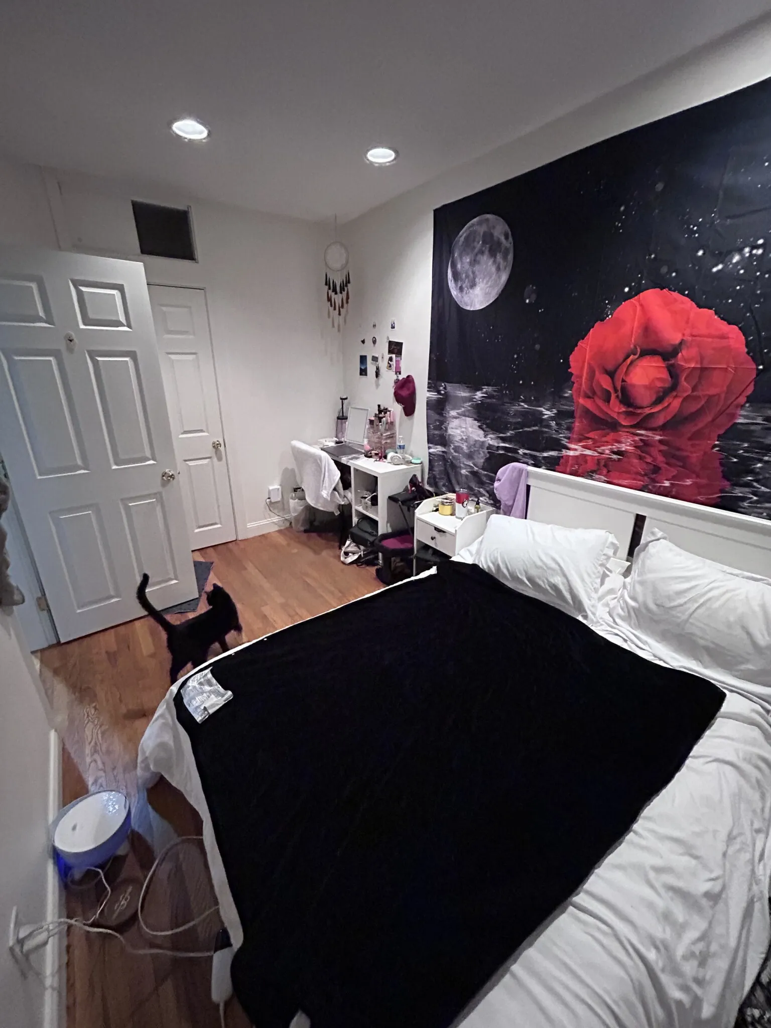 57 Westland Ave, Fenway