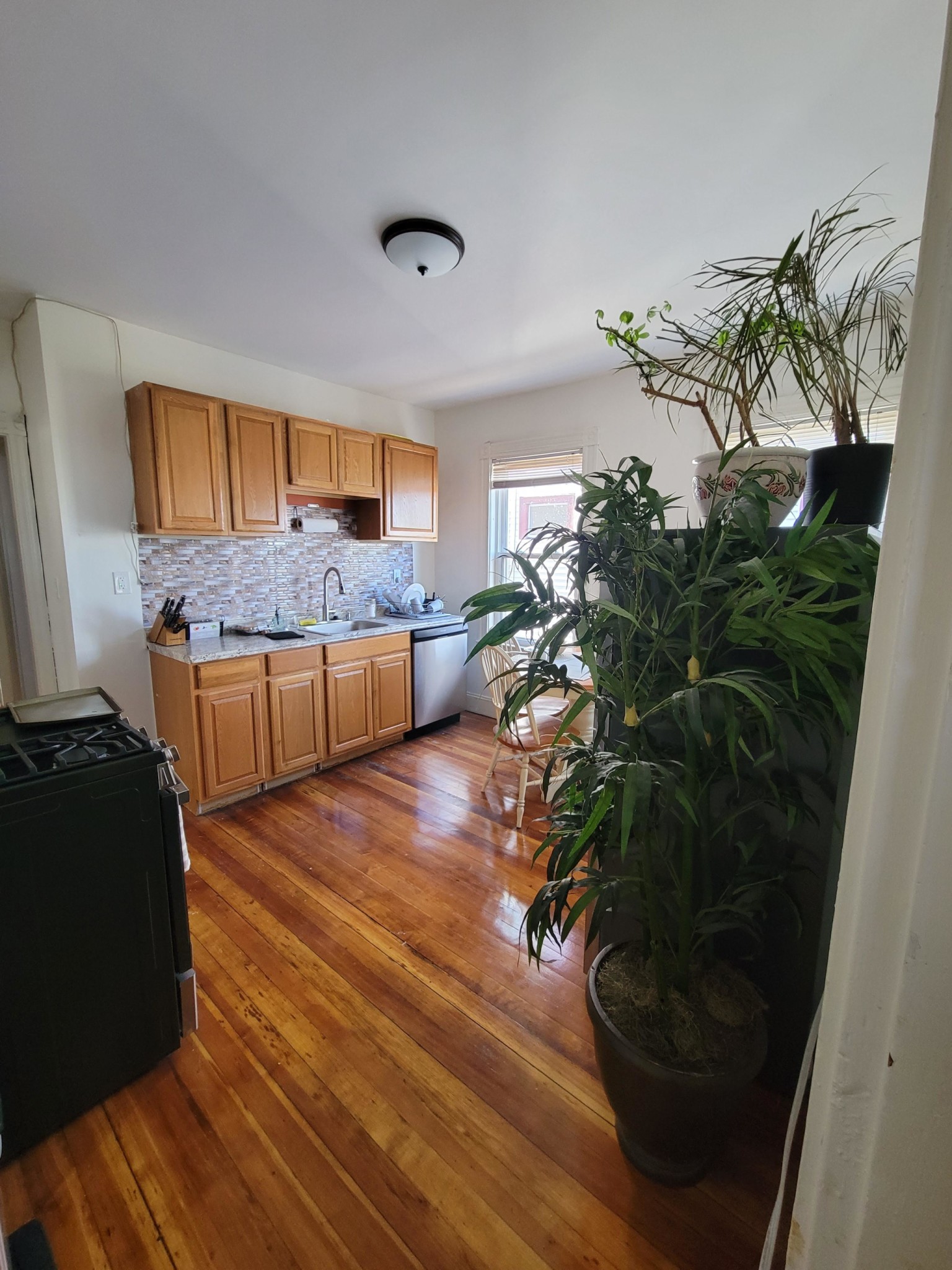 32 Juliette St, Dorchester