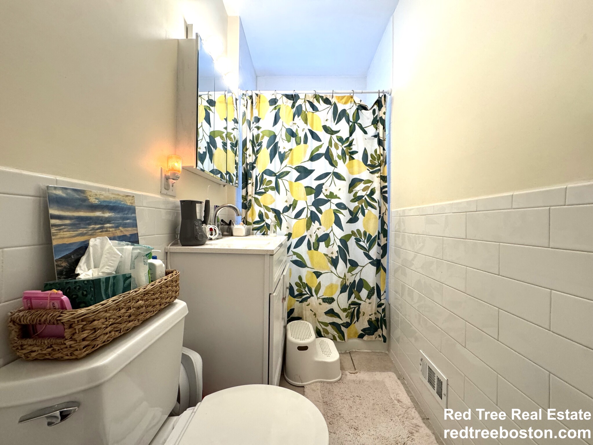 242 Belgrade Ave, Roslindale