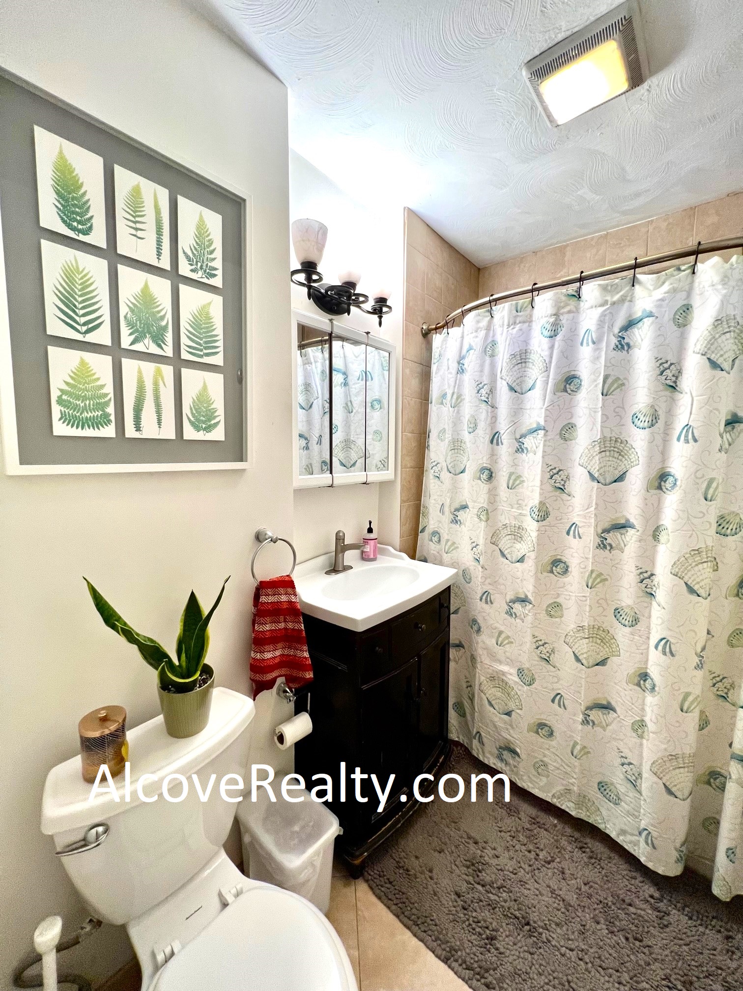 223 Summer St, Spring Hill