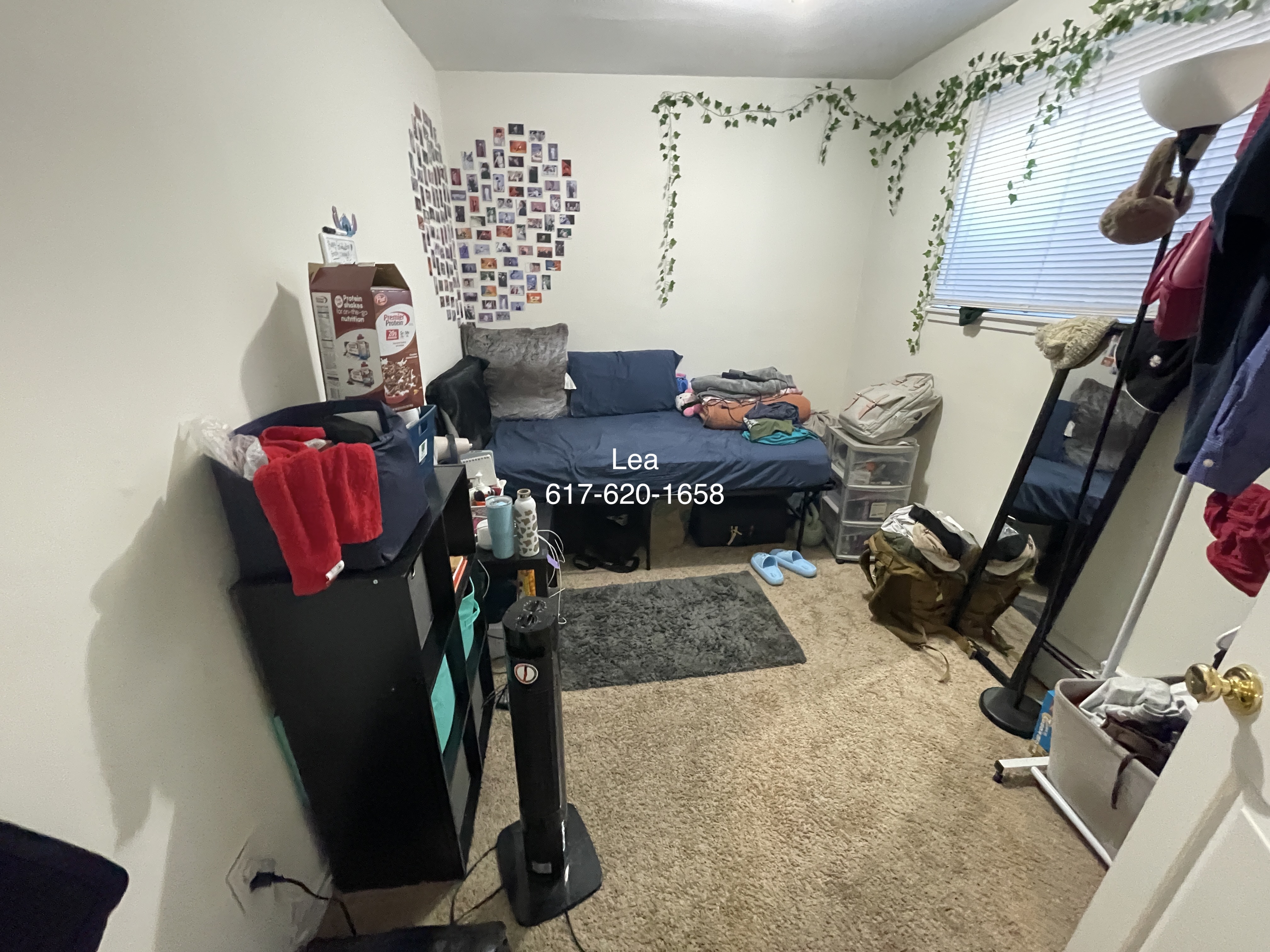 8 Griggs St, Brighton