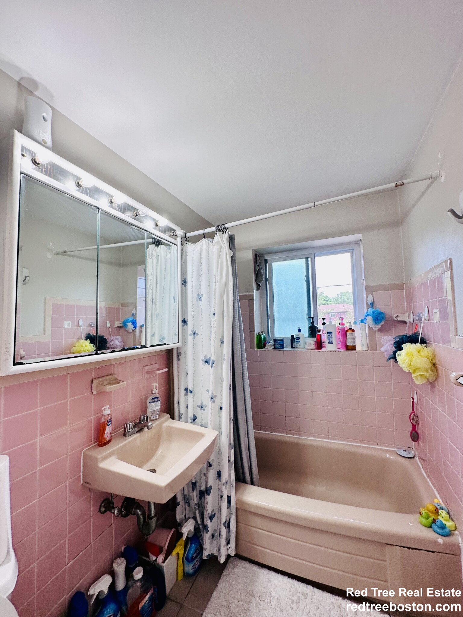 14 Bryon Rd, Chestnut Hill