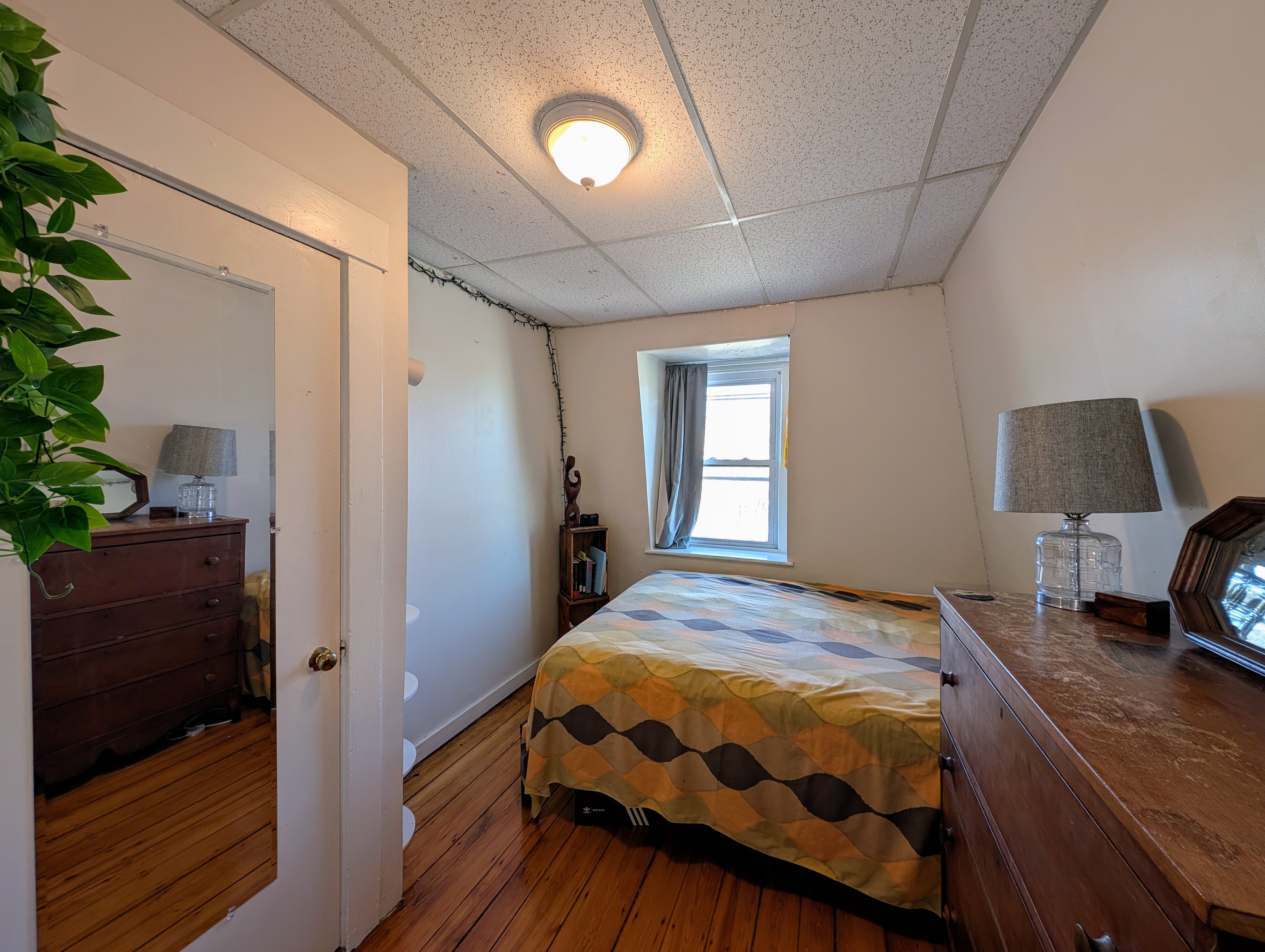 379 Windsor St, Wellington-Harrington