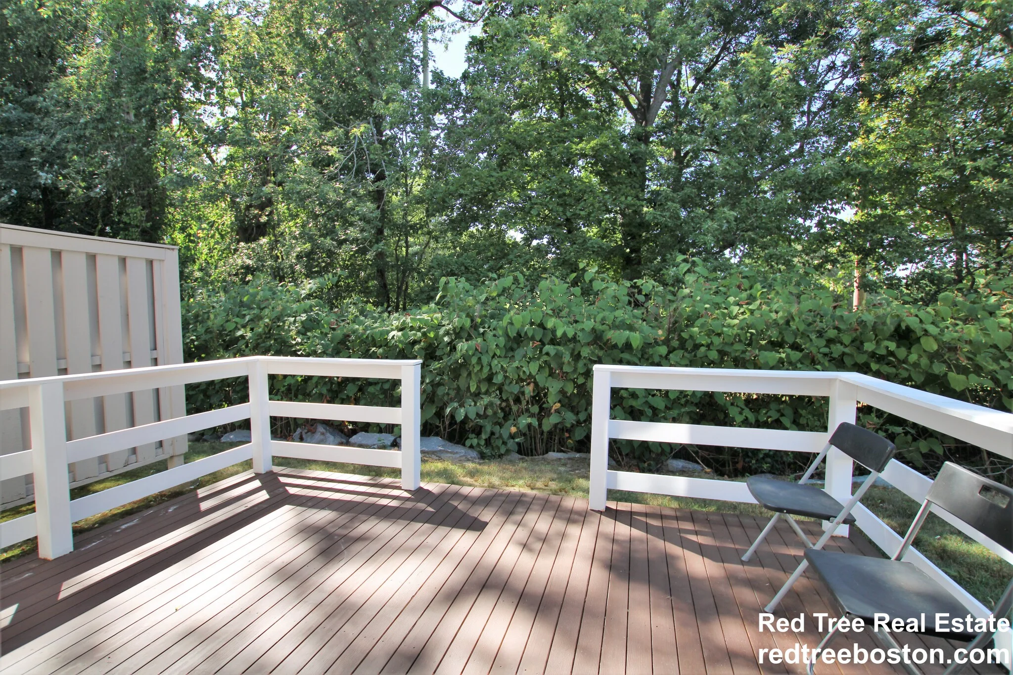 50 Undine Rd, Brighton