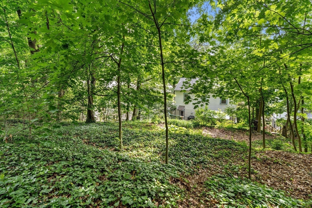 87 Brooks St, Brighton