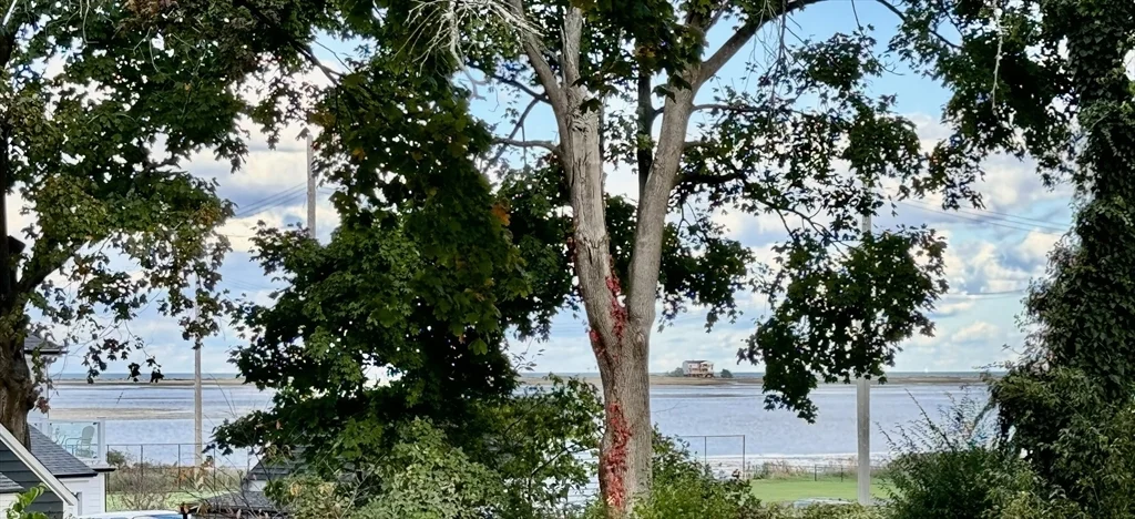 17 Fremont St, Downtown