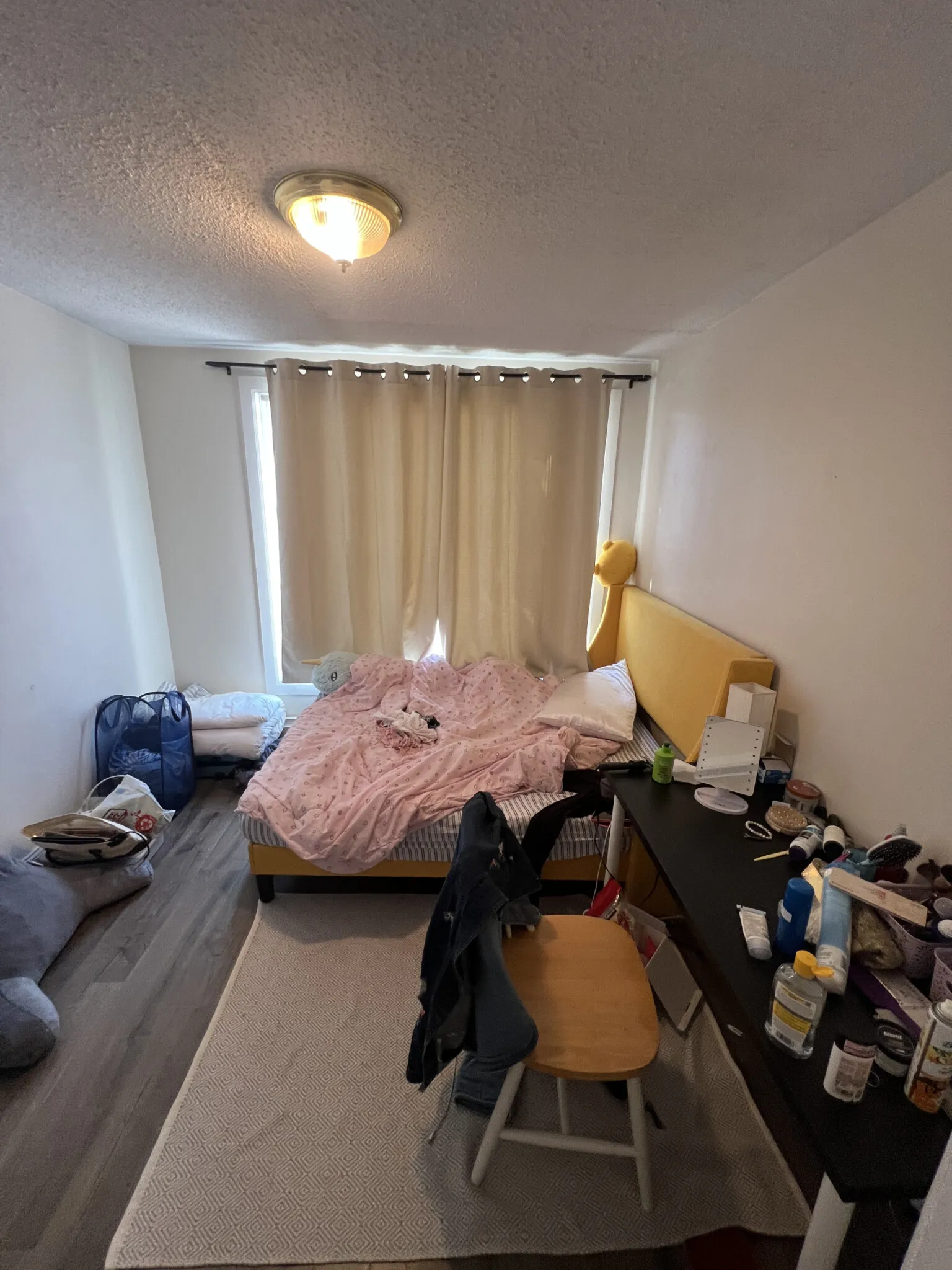 294 Prospect St, Wellington-Harrington