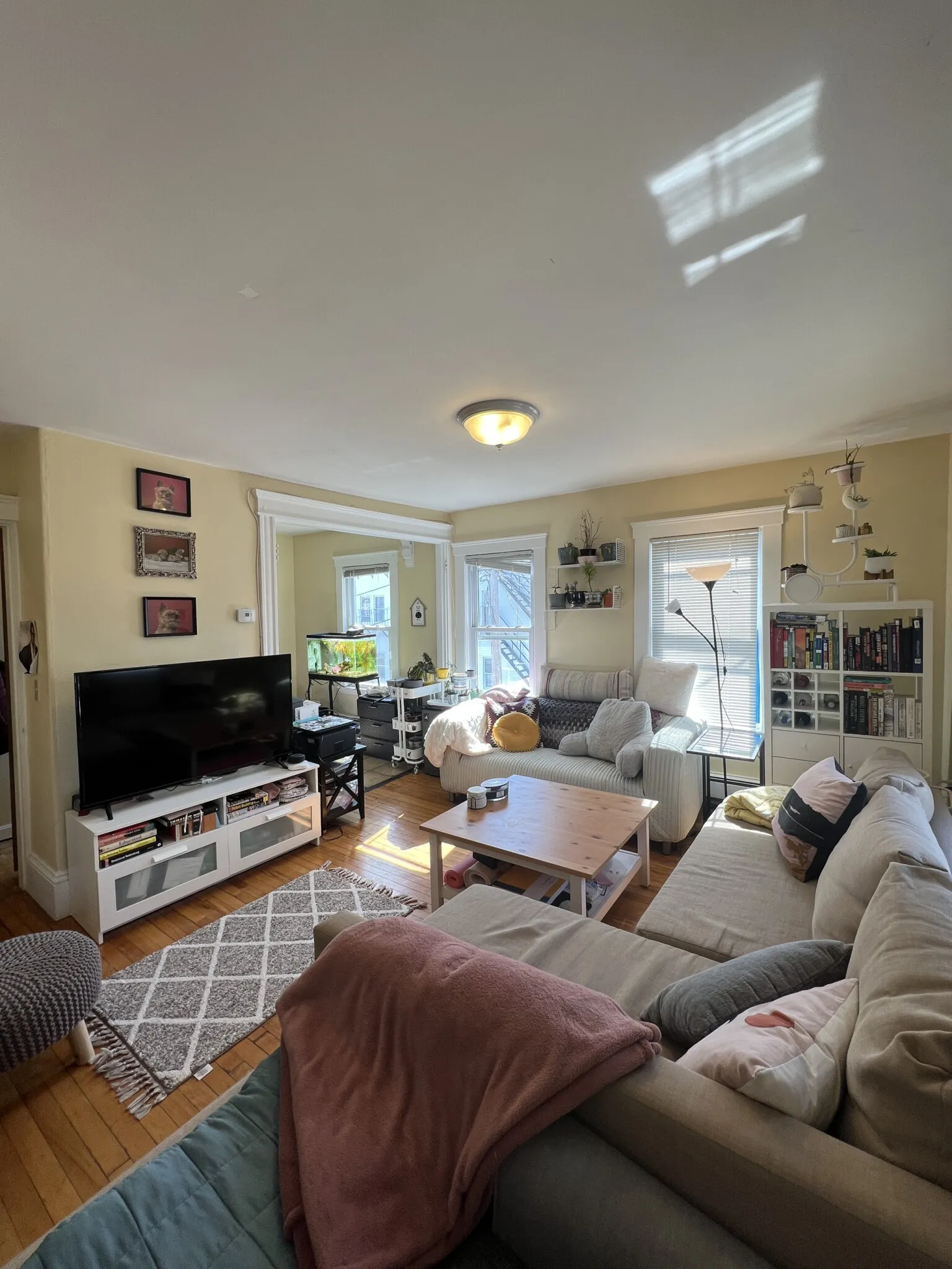 7 Craigie Ter, Spring Hill