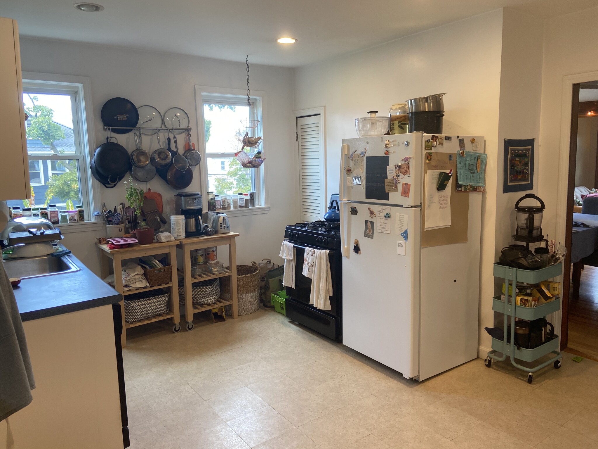 16 Montgomery St, North Cambridge